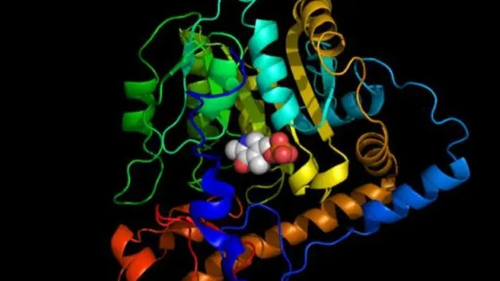 Почему бактериальный белок еще не на вашей тарелке? Корма, регуляторы, инженерия и перспективы