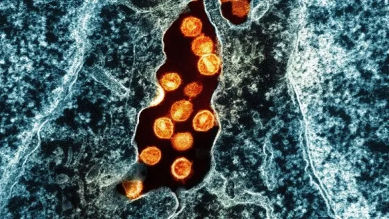 69dc893d66743_img_tablet-v1