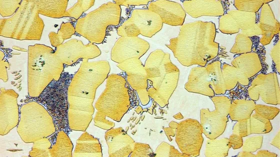 AlubronzeCuAl20v500-v1