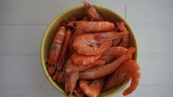 sebastien-devocelle-RnjSj-m6PSg-unsplash