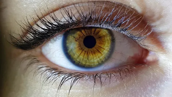 beautiful-macro-closeup-shot-female-human-s-deep-eyes-v1