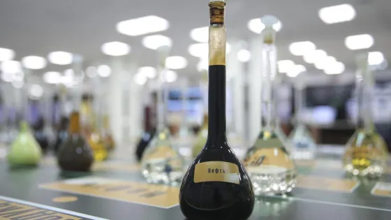 1776244816511234_ukfWl4ws-v1