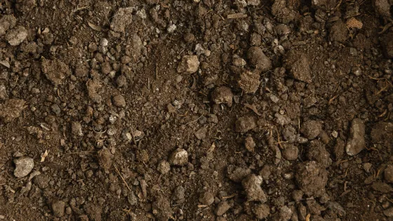 top-view-natural-soil