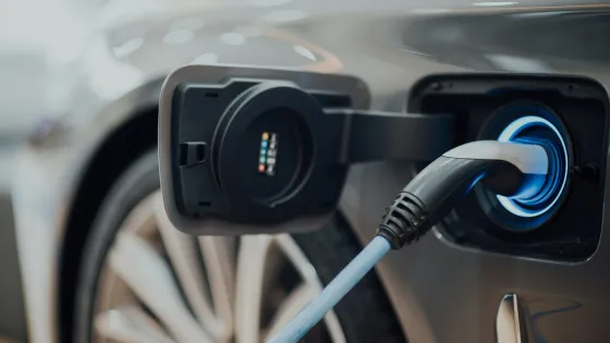 chuttersnap-p8pqOtmgwco-unsplash