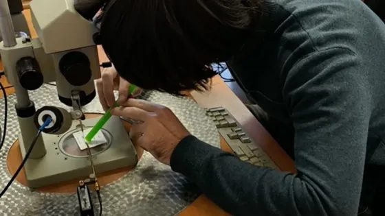 AQA4Pb2D1fZ52JJdrkkI-0R1hKP2Zx-0ztNMFSE-tzCCwIQ3fj756k7fmMoVZWV4lpthi5uPEqfAibVqAXeTAceZ_Z0-v1