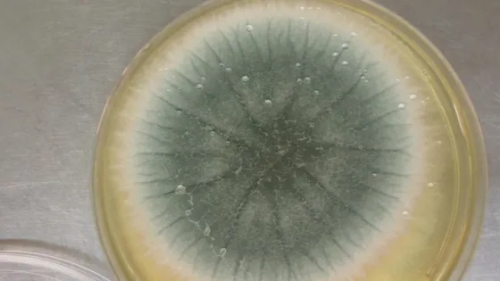 1776697773030586_07oeeT61-v1