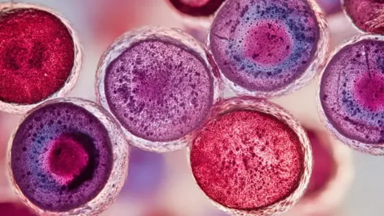 432c2b03-125d-48c1-9dfc-7b4b3809ac85