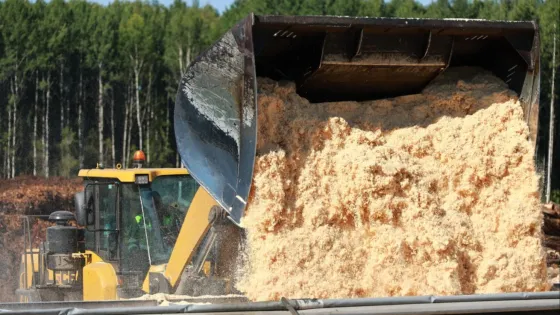 1777007485265444_UNzRuI08-v1