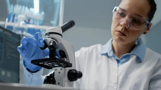 Снимок экрана 2026-04-24 в 21.57.38