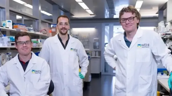 2b63b1af-4e93-4328-98de-161ed9faa20e-v1