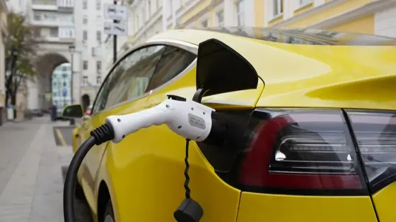 5f04316e-eae8-451f-8c0e-8a0bc5a836cf