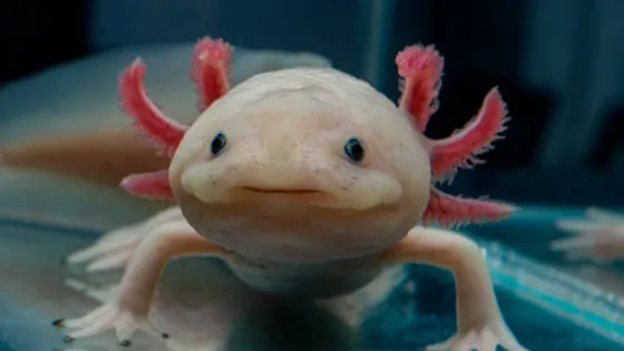 istockphoto-1401377395-612x612