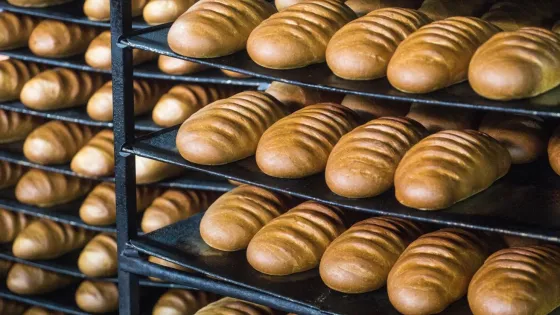 1777288510642799_iis_hgie