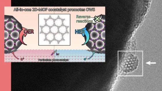 69f0ae6cb01ce_img_tablet-v1