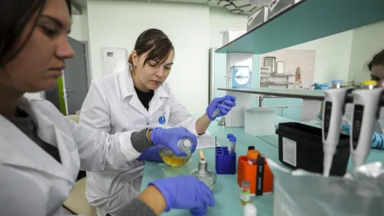 1777382707883453_QmOeagFQ-v1