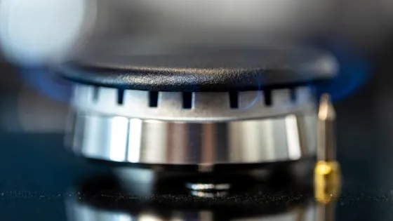 68923-v1
