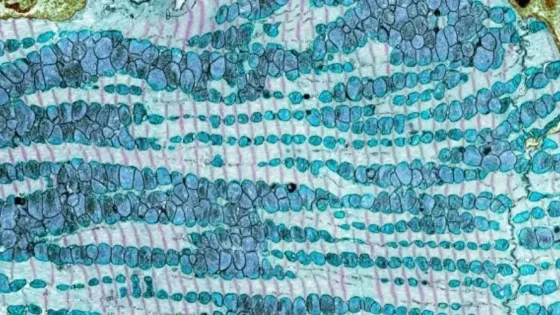 e6681f6c-4640-4476-bf7f-5ffa45a8674a