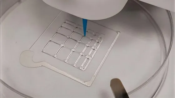 3x4i-large-v1
