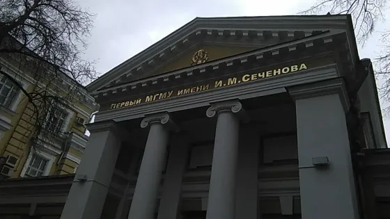 В России создали технологию управления формой клеточных сфероидов