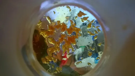 Unknown-5