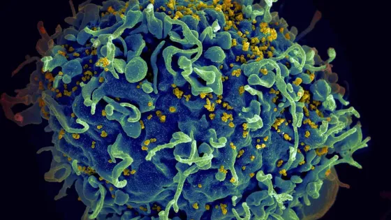 national-cancer-institute-cI8T6zeDbZw-unsplash-1--scaled
