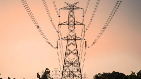 1645018228_1-fikiwiki-com-p-kartinki-lep-2-v1