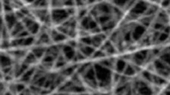 nanoplenka-v1