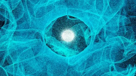 Экспериментальные данные подтверждают теорию сознания Пенроуза - Хамероффа