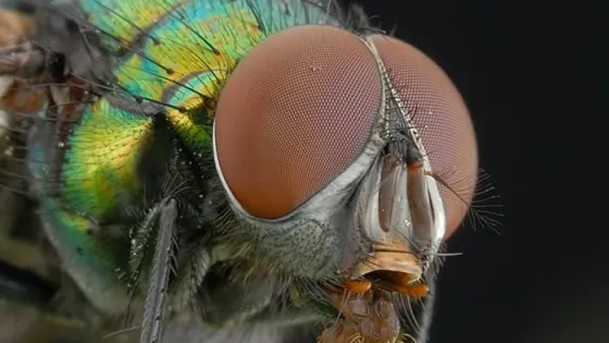 d4d6f35704f95d28a470df5605381c13-v1