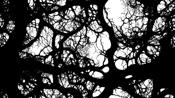396619424_f07f4a08-e91d-4558-9f9d-7ccc981190f3