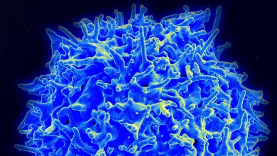 Healthy_Human_T_Cell-v1
