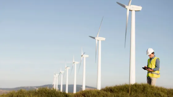 wind-farms-fields