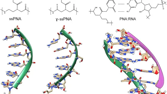 pna