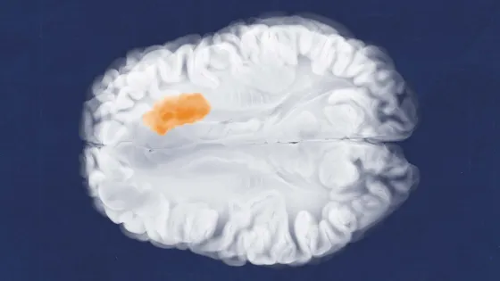 b5e214353b3acf6f992c08ebe37da286