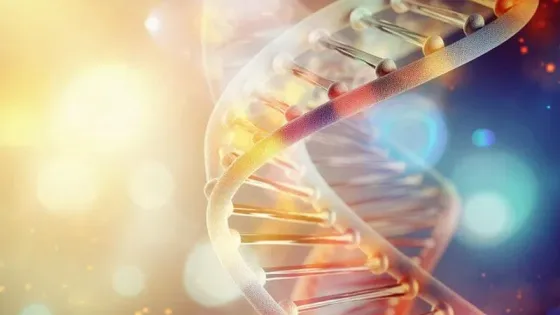 Biomemory представила DNA Shield — коммерческий сервис хранения данных в ДНК