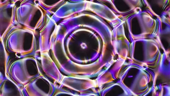 58c41794-29b9-4de7-8781-3ffbca23e1b5
