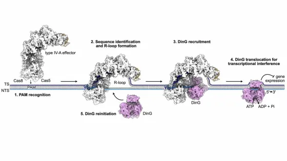 researchers-uncover-ne-15