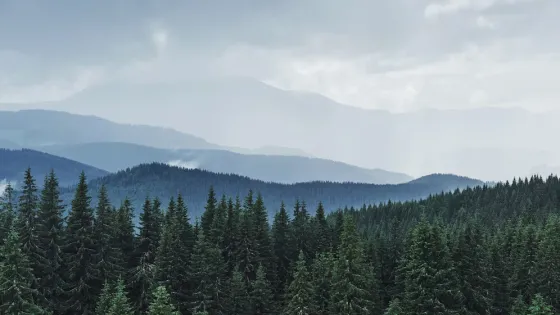 scenic-mountains-landscape-after-rain-carpathians-ukraine_146671-18431