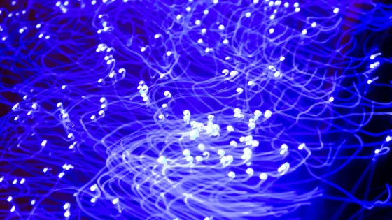 beautiful-optical-fiber-detail_23-2149182559