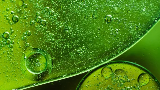 bright-green-bubbly-abstract-background_23-2148205247