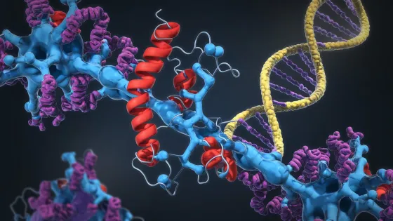 a-3d-rendering-of-two-complex-molecules-__BTdksK1SZGo7yf22RPuzQ_0CJqTkO7Q32wx2_NzfWowA