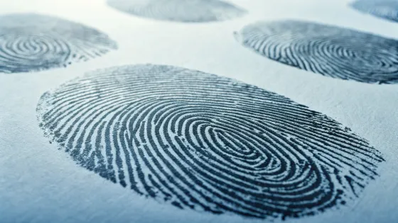 fingerprints