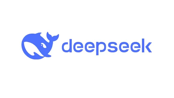 deepseek-1-v1