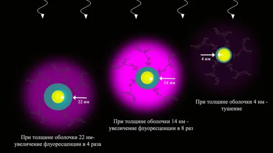 2025-03-04-phyche-fluor-v1