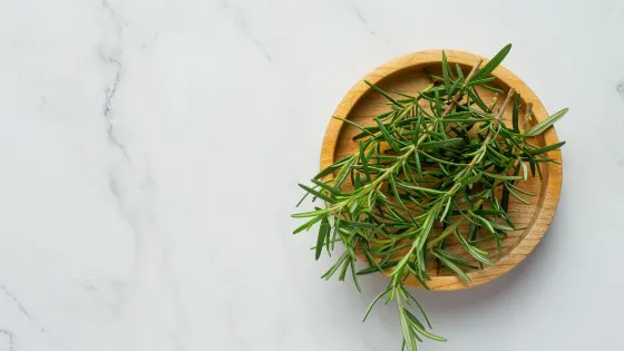 rosemary-plants-place-white-marble-floor_1150-35559