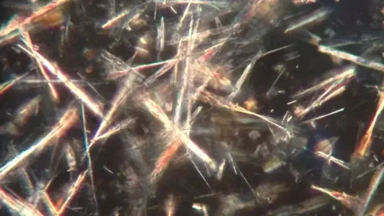 9f815174-fb2a-47be-a136-72cd440a8746