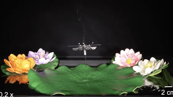 Снимок экрана 2025-04-17 в 21.39.55