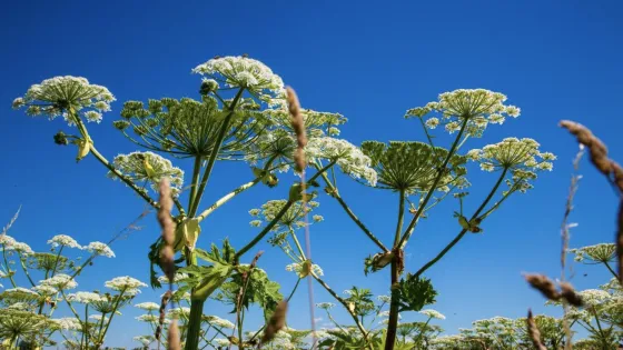 Снимок экрана 2025-04-19 в 16.19.04