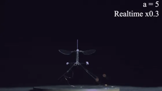 01JSA5DTK15D5E3S7Q8KRDH81W-v1