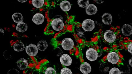 e8cf3794-e1ae-49c4-848a-5114e76600a0